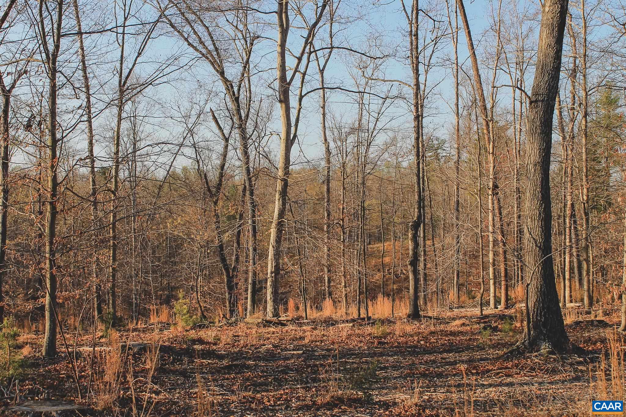 42 SHADWELL RD, KESWICK, Virginia 22947, ,Land,14,42 SHADWELL RD,675338 MLS # 675338 42 SHADWELL RD, KESWICK, Virginia 22947, ,Land,14,42 SHADWELL RD,675338 MLS # 675338