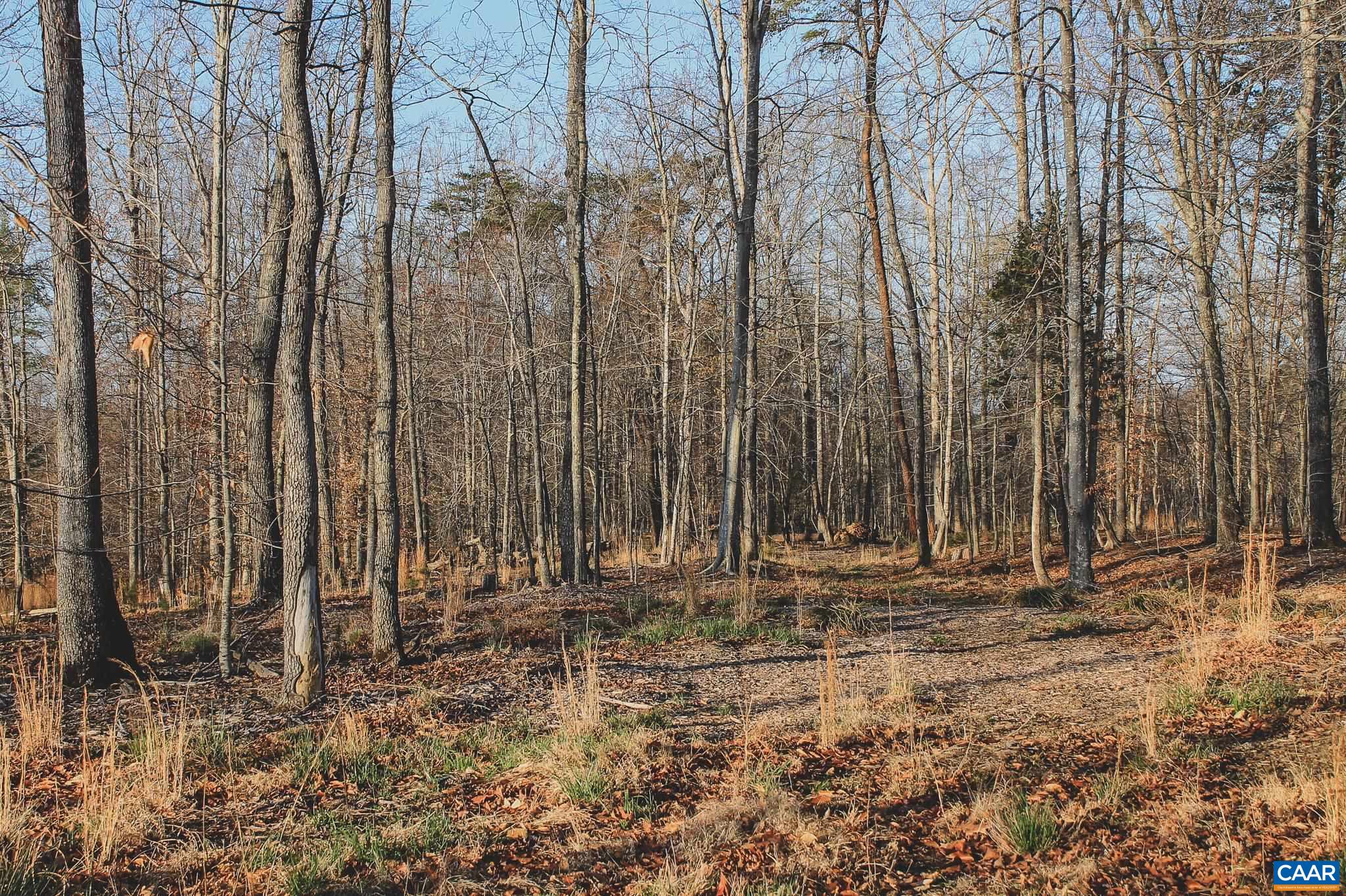 42 SHADWELL RD, KESWICK, Virginia 22947, ,Land,14,42 SHADWELL RD,675338 MLS # 675338 42 SHADWELL RD, KESWICK, Virginia 22947, ,Land,14,42 SHADWELL RD,675338 MLS # 675338