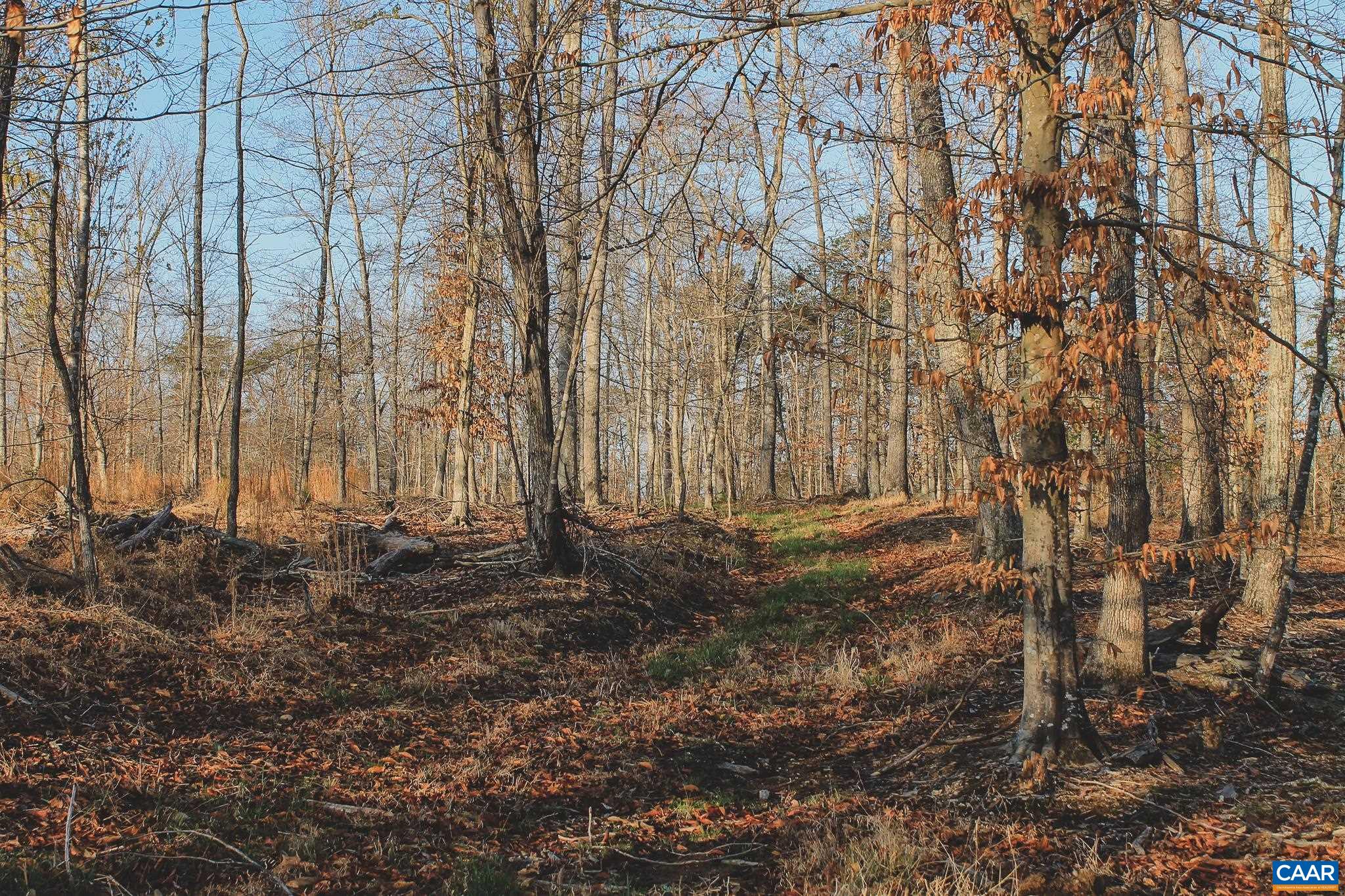 42 SHADWELL RD, KESWICK, Virginia 22947, ,Land,14,42 SHADWELL RD,675338 MLS # 675338 42 SHADWELL RD, KESWICK, Virginia 22947, ,Land,14,42 SHADWELL RD,675338 MLS # 675338