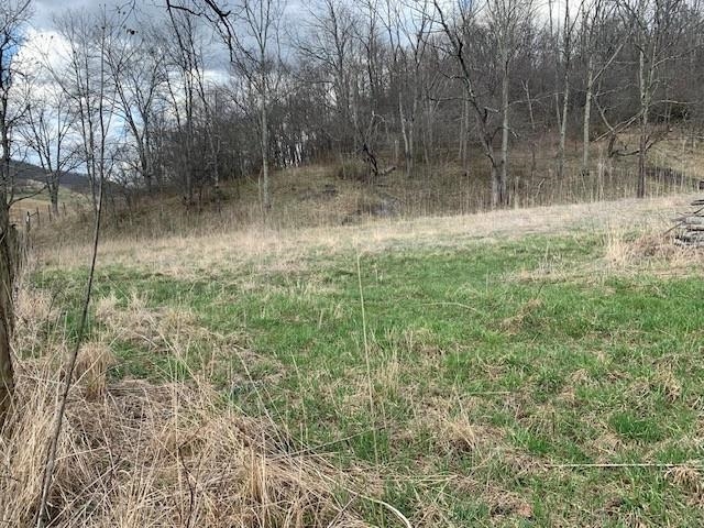 TBD BIG VALLEY RD, MONTEREY, Virginia 24465, ,Farm,14,TBD BIG VALLEY RD,675342 MLS # 675342 TBD BIG VALLEY RD, MONTEREY, Virginia 24465, ,Farm,14,TBD BIG VALLEY RD,675342 MLS # 675342