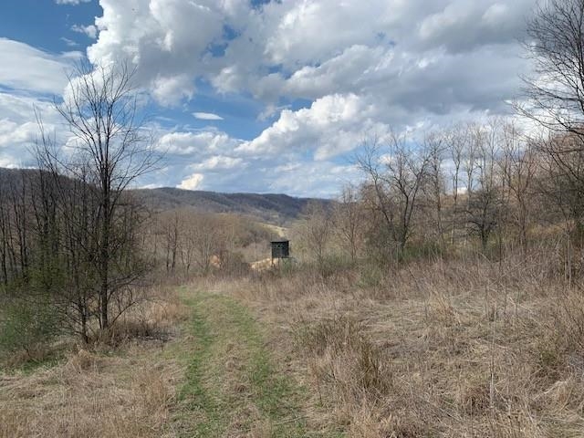 TBD BIG VALLEY RD, MONTEREY, Virginia 24465, ,Farm,14,TBD BIG VALLEY RD,675342 MLS # 675342 TBD BIG VALLEY RD, MONTEREY, Virginia 24465, ,Farm,14,TBD BIG VALLEY RD,675342 MLS # 675342