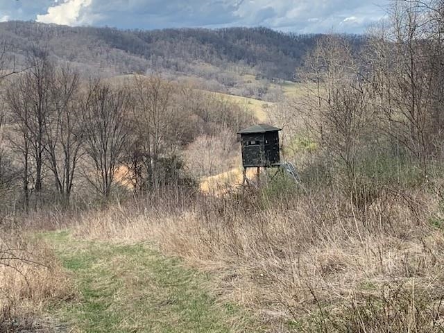 TBD BIG VALLEY RD, MONTEREY, Virginia 24465, ,Farm,14,TBD BIG VALLEY RD,675342 MLS # 675342 TBD BIG VALLEY RD, MONTEREY, Virginia 24465, ,Farm,14,TBD BIG VALLEY RD,675342 MLS # 675342