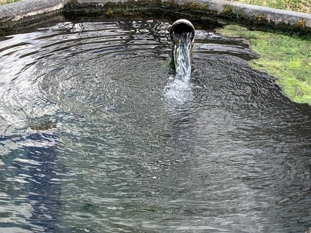 TBD BIG VALLEY RD, MONTEREY, Virginia 24465, ,Farm,14,TBD BIG VALLEY RD,675342 MLS # 675342 TBD BIG VALLEY RD, MONTEREY, Virginia 24465, ,Farm,14,TBD BIG VALLEY RD,675342 MLS # 675342