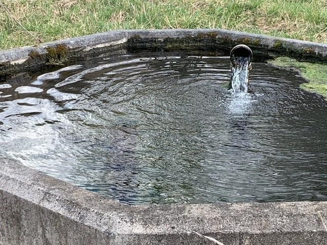 TBD BIG VALLEY RD, MONTEREY, Virginia 24465, ,Farm,14,TBD BIG VALLEY RD,675342 MLS # 675342 TBD BIG VALLEY RD, MONTEREY, Virginia 24465, ,Farm,14,TBD BIG VALLEY RD,675342 MLS # 675342