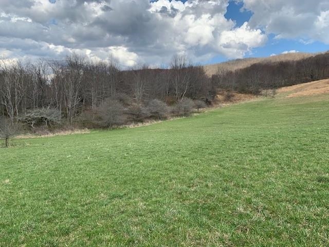 TBD BIG VALLEY RD, MONTEREY, Virginia 24465, ,Farm,14,TBD BIG VALLEY RD,675342 MLS # 675342 TBD BIG VALLEY RD, MONTEREY, Virginia 24465, ,Farm,14,TBD BIG VALLEY RD,675342 MLS # 675342