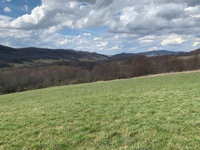 TBD BIG VALLEY RD, MONTEREY, Virginia 24465, ,Farm,14,TBD BIG VALLEY RD,675342 MLS # 675342 TBD BIG VALLEY RD, MONTEREY, Virginia 24465, ,Farm,14,TBD BIG VALLEY RD,675342 MLS # 675342