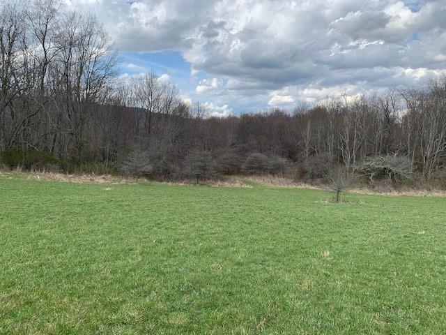 TBD BIG VALLEY RD, MONTEREY, Virginia 24465, ,Farm,14,TBD BIG VALLEY RD,675342 MLS # 675342 TBD BIG VALLEY RD, MONTEREY, Virginia 24465, ,Farm,14,TBD BIG VALLEY RD,675342 MLS # 675342