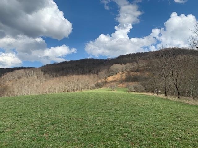 TBD BIG VALLEY RD, MONTEREY, Virginia 24465, ,Farm,14,TBD BIG VALLEY RD,675342 MLS # 675342 TBD BIG VALLEY RD, MONTEREY, Virginia 24465, ,Farm,14,TBD BIG VALLEY RD,675342 MLS # 675342