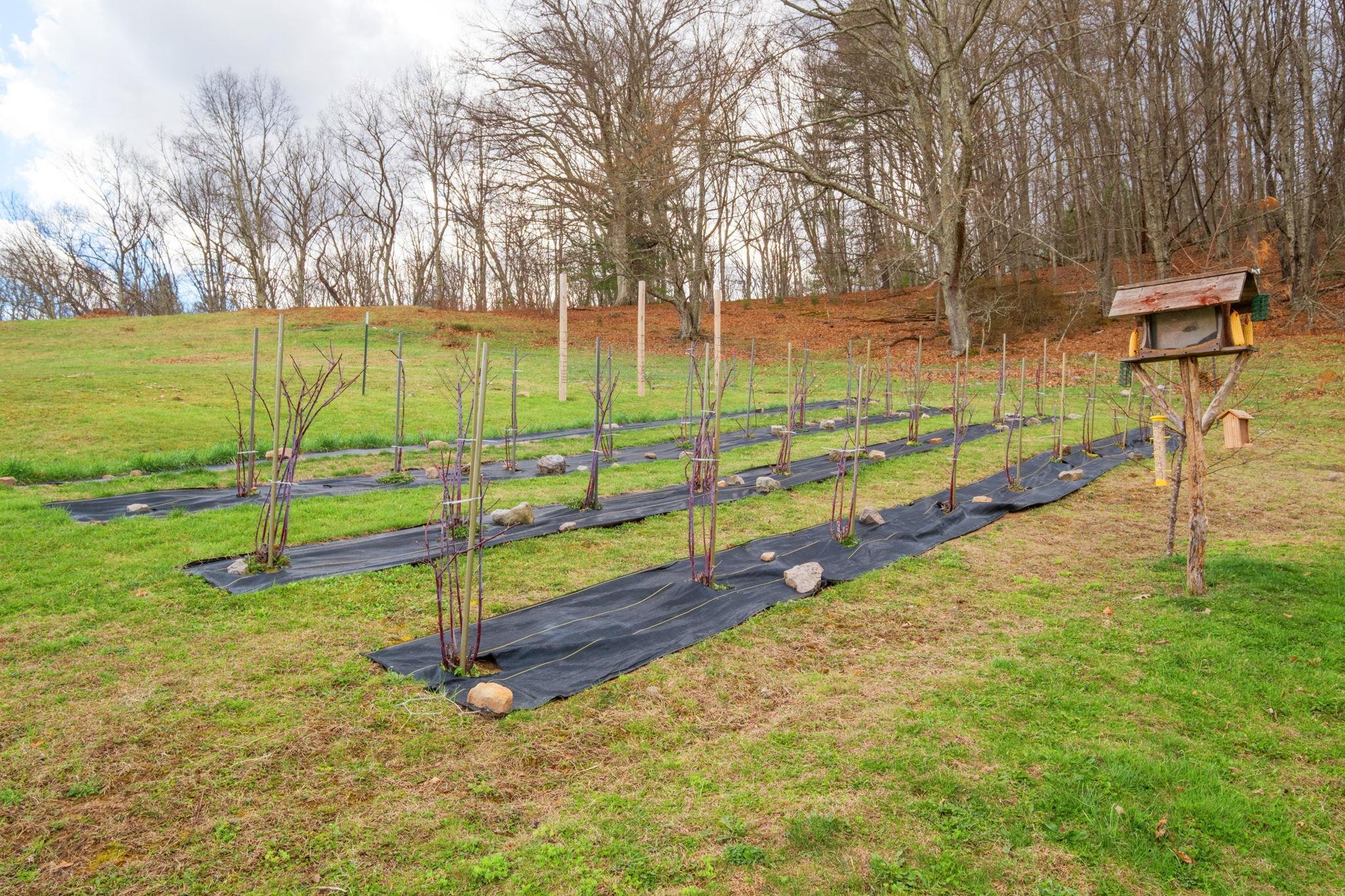 3356 JACKSON RIVER RD, MONTEREY, Virginia 24465, 3 Bedrooms Bedrooms, ,3 BathroomsBathrooms,Residential,14,3356 JACKSON RIVER RD,675365 MLS # 675365 3356 JACKSON RIVER RD, MONTEREY, Virginia 24465, 3 Bedrooms Bedrooms, ,3 BathroomsBathrooms,Residential,14,3356 JACKSON RIVER RD,675365 MLS # 675365