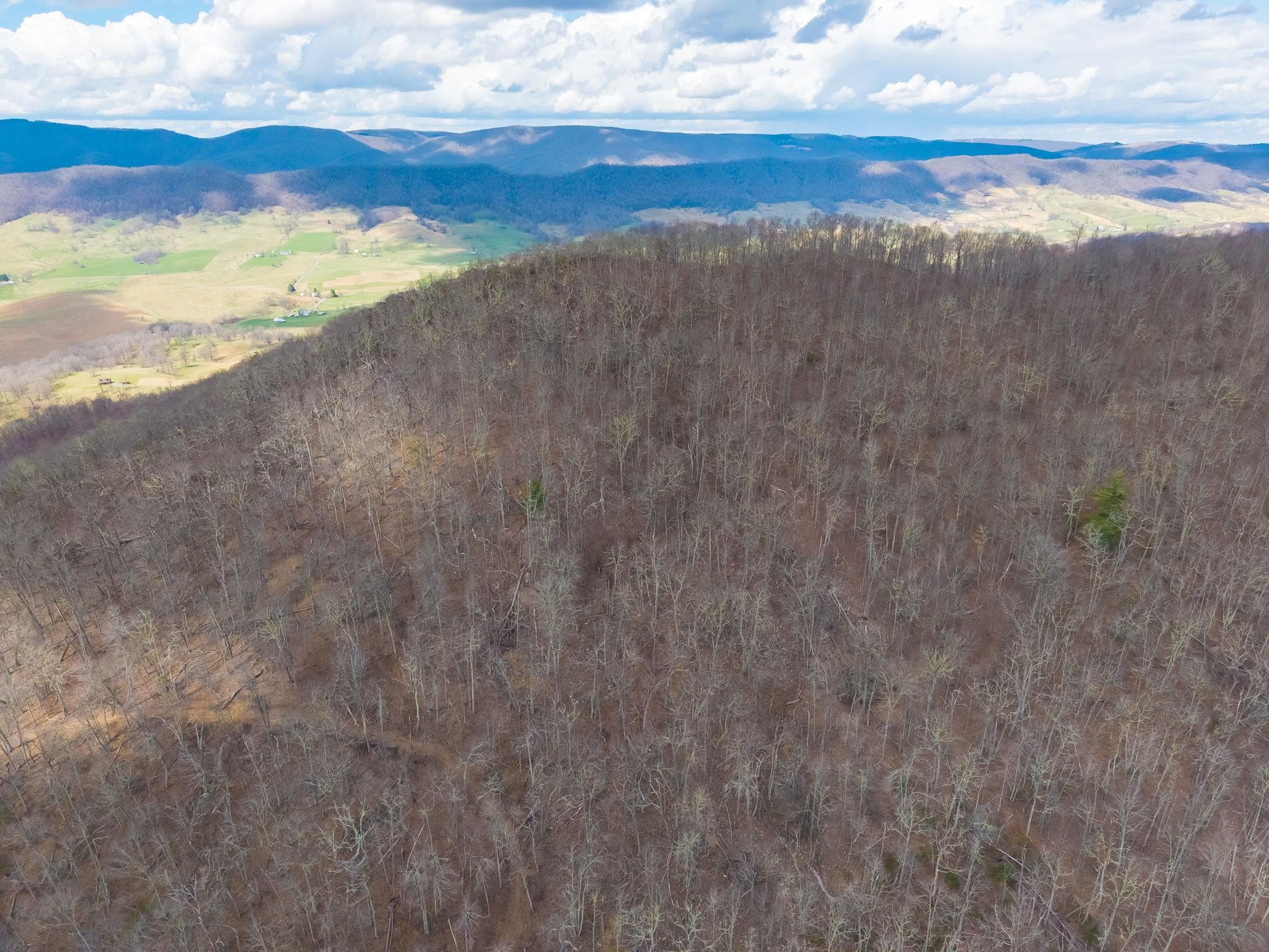 3356 JACKSON RIVER RD, MONTEREY, Virginia 24465, 3 Bedrooms Bedrooms, ,3 BathroomsBathrooms,Residential,14,3356 JACKSON RIVER RD,675365 MLS # 675365 3356 JACKSON RIVER RD, MONTEREY, Virginia 24465, 3 Bedrooms Bedrooms, ,3 BathroomsBathrooms,Residential,14,3356 JACKSON RIVER RD,675365 MLS # 675365