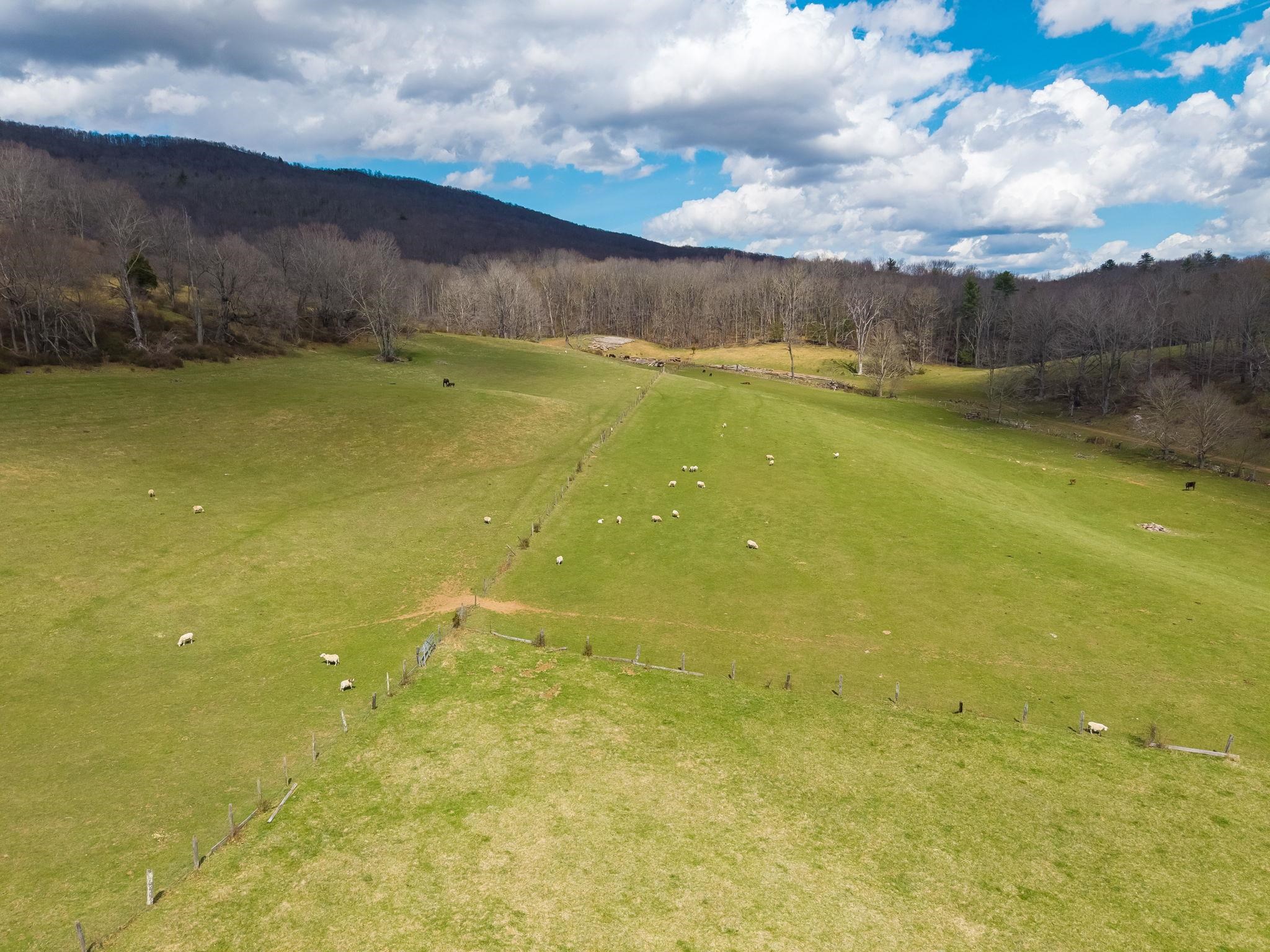 3356 JACKSON RIVER RD, MONTEREY, Virginia 24465, 3 Bedrooms Bedrooms, ,3 BathroomsBathrooms,Residential,14,3356 JACKSON RIVER RD,675365 MLS # 675365 3356 JACKSON RIVER RD, MONTEREY, Virginia 24465, 3 Bedrooms Bedrooms, ,3 BathroomsBathrooms,Residential,14,3356 JACKSON RIVER RD,675365 MLS # 675365