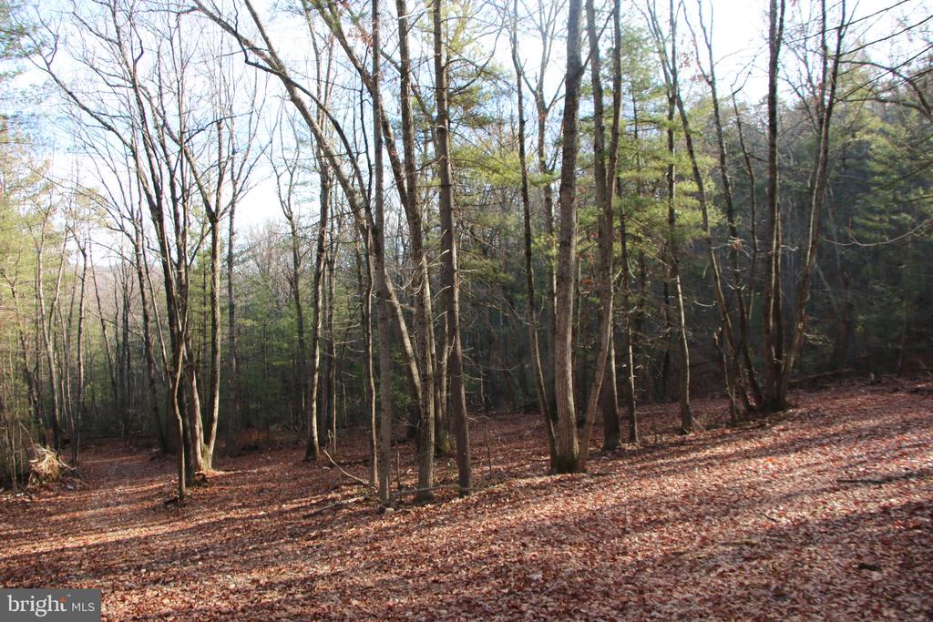 VALLEY BURG RD, LURAY, Virginia 22835, ,Farm,14,VALLEY BURG RD,VAPA2006260 MLS # VAPA2006260