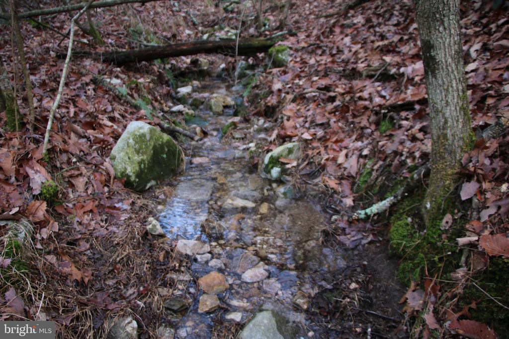 VALLEY BURG RD, LURAY, Virginia 22835, ,Farm,14,VALLEY BURG RD,VAPA2006260 MLS # VAPA2006260