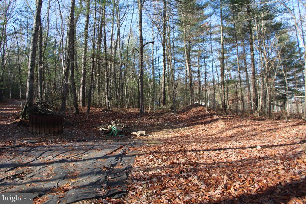 VALLEY BURG RD, LURAY, Virginia 22835, ,Farm,14,VALLEY BURG RD,VAPA2006260 MLS # VAPA2006260