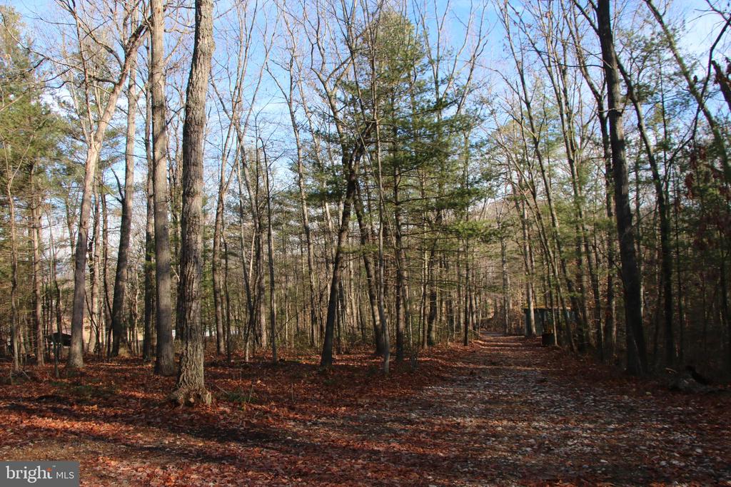 VALLEY BURG RD, LURAY, Virginia 22835, ,Farm,14,VALLEY BURG RD,VAPA2006260 MLS # VAPA2006260