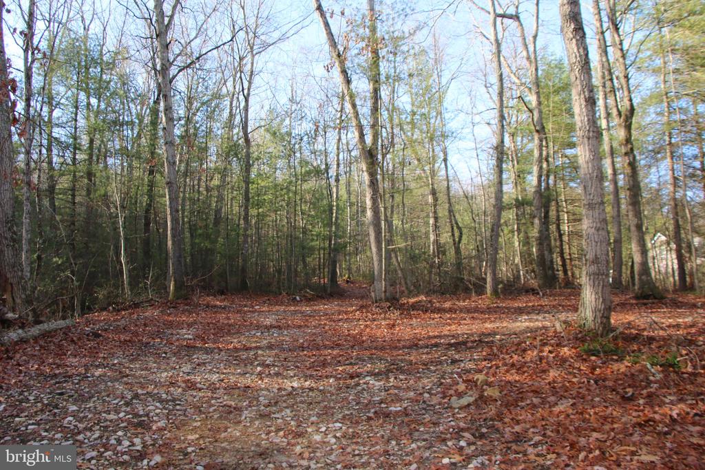 VALLEY BURG RD, LURAY, Virginia 22835, ,Farm,14,VALLEY BURG RD,VAPA2006260 MLS # VAPA2006260