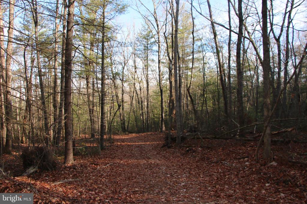 VALLEY BURG RD, LURAY, Virginia 22835, ,Farm,14,VALLEY BURG RD,VAPA2006260 MLS # VAPA2006260