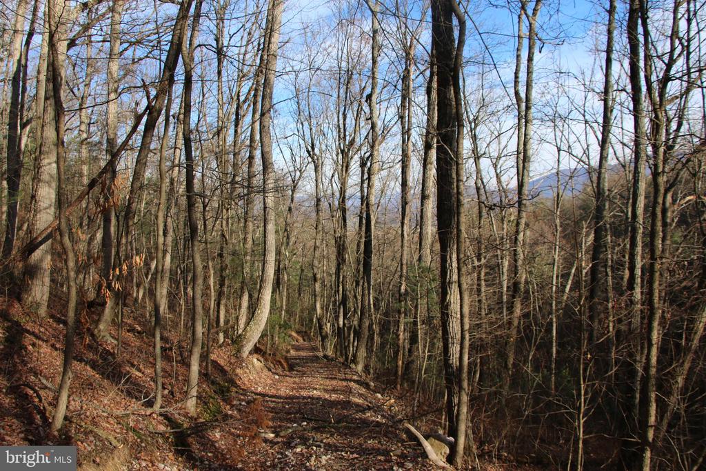 VALLEY BURG RD, LURAY, Virginia 22835, ,Farm,14,VALLEY BURG RD,VAPA2006260 MLS # VAPA2006260