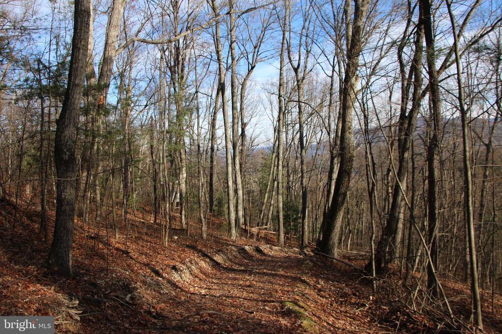 VALLEY BURG RD, LURAY, Virginia 22835, ,Farm,14,VALLEY BURG RD,VAPA2006260 MLS # VAPA2006260