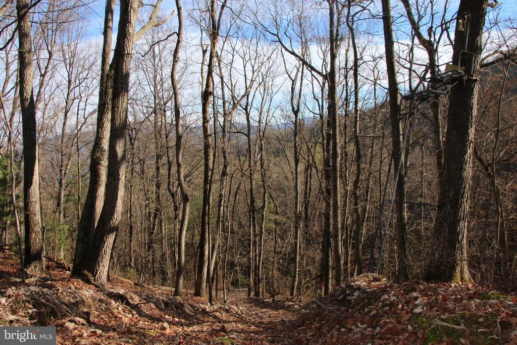 VALLEY BURG RD, LURAY, Virginia 22835, ,Farm,14,VALLEY BURG RD,VAPA2006260 MLS # VAPA2006260