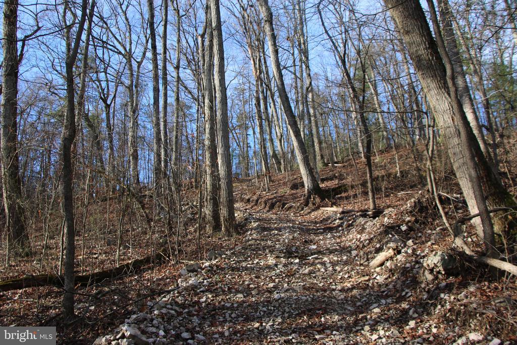 VALLEY BURG RD, LURAY, Virginia 22835, ,Farm,14,VALLEY BURG RD,VAPA2006260 MLS # VAPA2006260