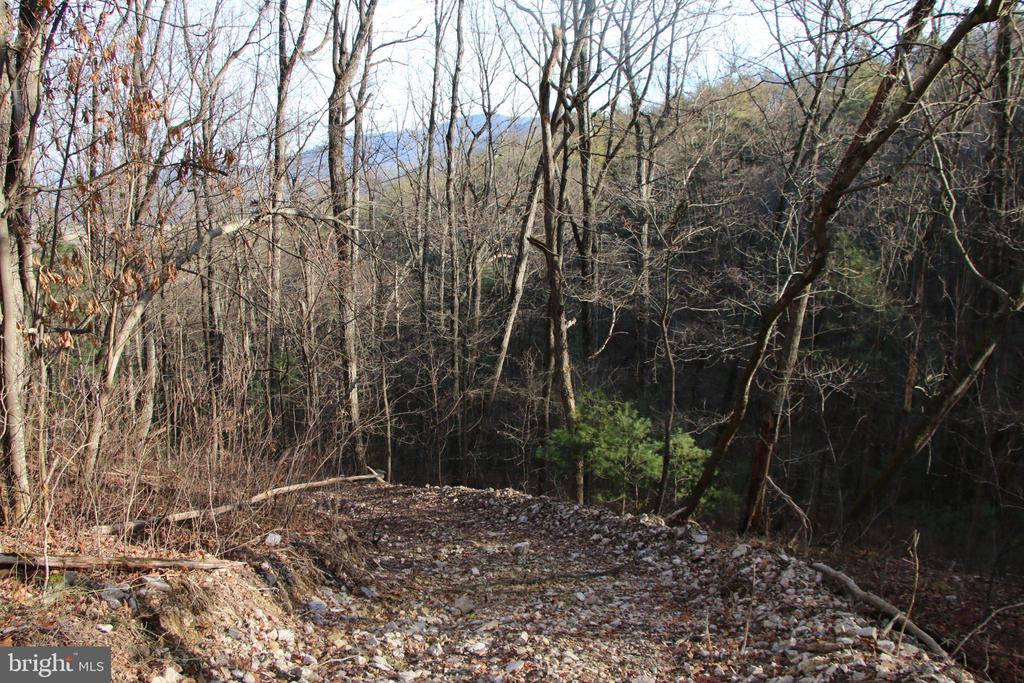 VALLEY BURG RD, LURAY, Virginia 22835, ,Farm,14,VALLEY BURG RD,VAPA2006260 MLS # VAPA2006260