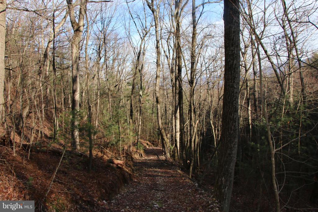 VALLEY BURG RD, LURAY, Virginia 22835, ,Farm,14,VALLEY BURG RD,VAPA2006260 MLS # VAPA2006260