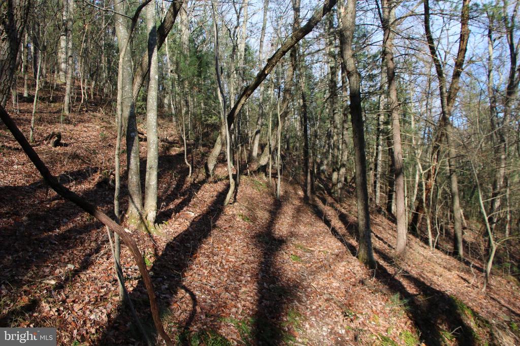 VALLEY BURG RD, LURAY, Virginia 22835, ,Farm,14,VALLEY BURG RD,VAPA2006260 MLS # VAPA2006260