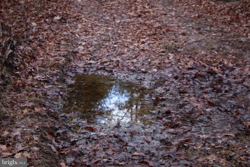 VALLEY BURG RD, LURAY, Virginia 22835, ,Farm,14,VALLEY BURG RD,VAPA2006260 MLS # VAPA2006260