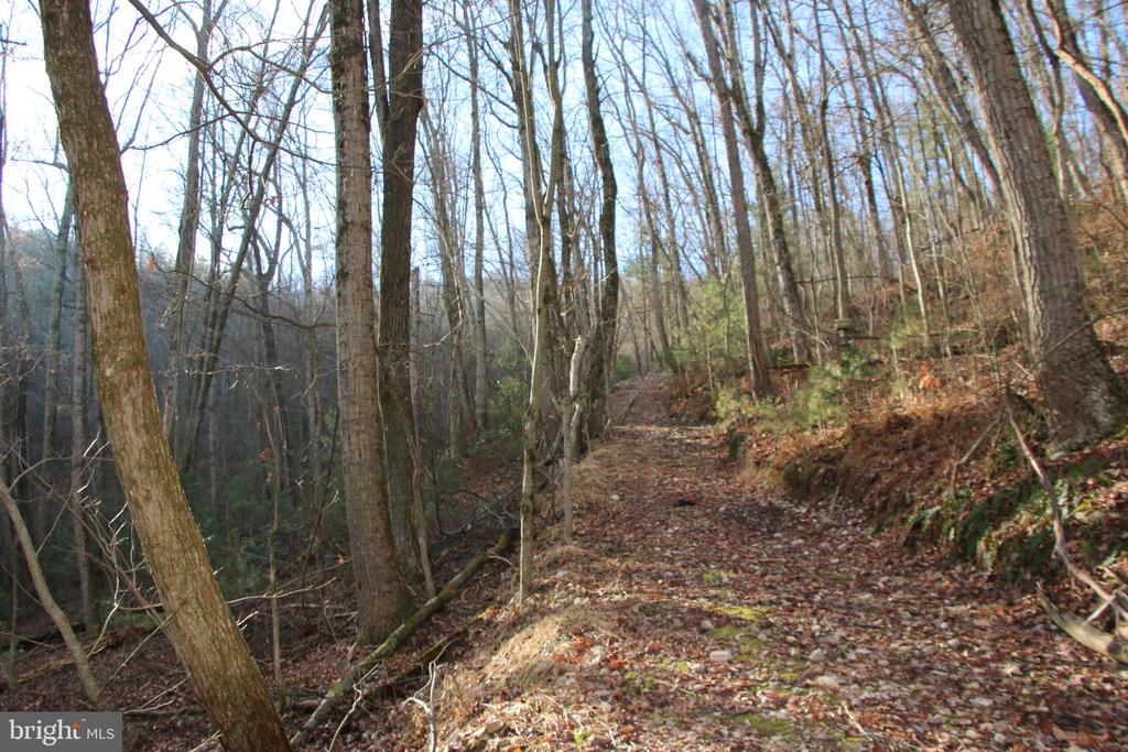 VALLEY BURG RD, LURAY, Virginia 22835, ,Farm,14,VALLEY BURG RD,VAPA2006260 MLS # VAPA2006260