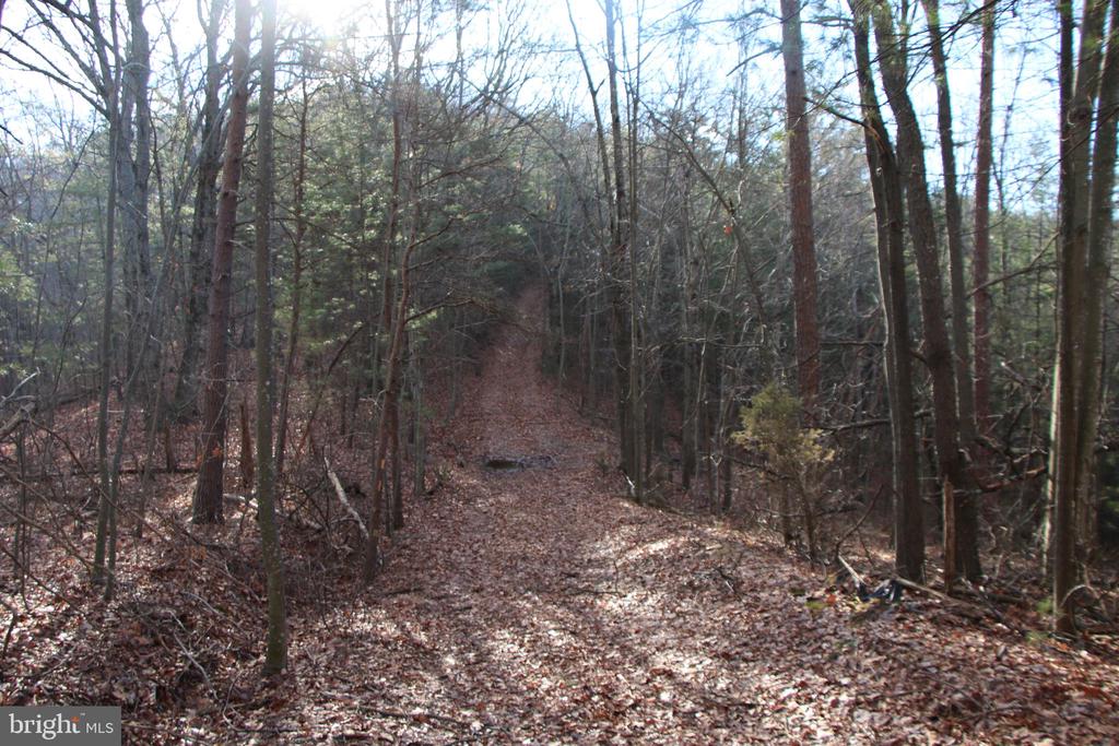 VALLEY BURG RD, LURAY, Virginia 22835, ,Farm,14,VALLEY BURG RD,VAPA2006260 MLS # VAPA2006260
