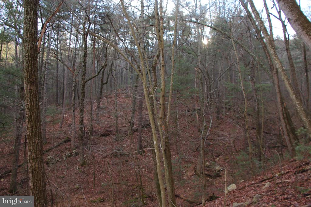 VALLEY BURG RD, LURAY, Virginia 22835, ,Farm,14,VALLEY BURG RD,VAPA2006260 MLS # VAPA2006260