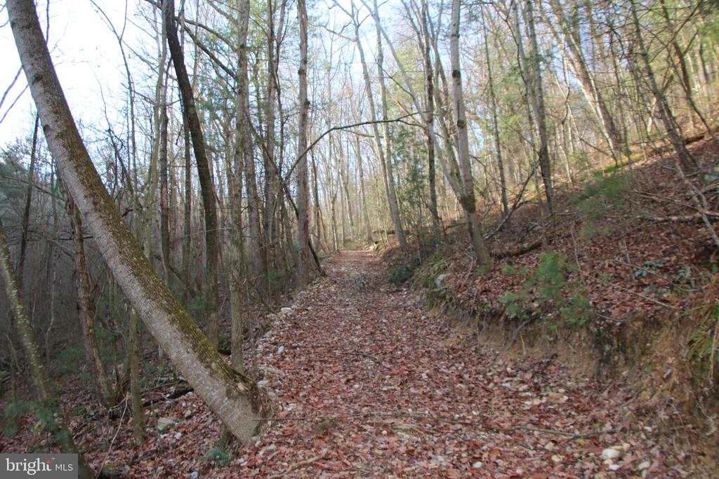VALLEY BURG RD, LURAY, Virginia 22835, ,Farm,14,VALLEY BURG RD,VAPA2006260 MLS # VAPA2006260