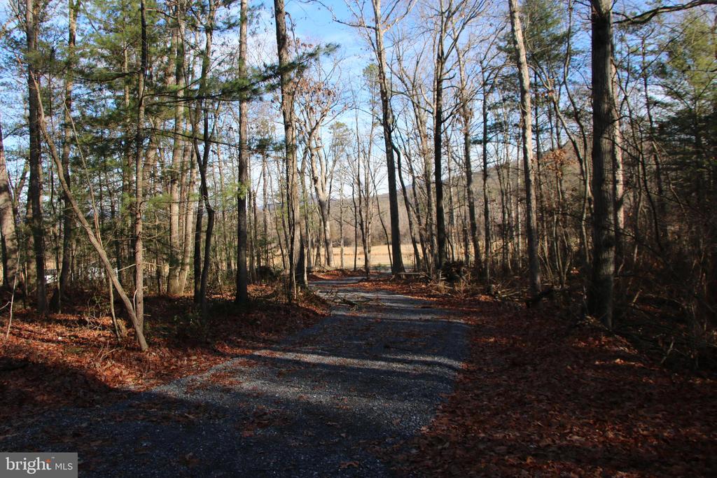 VALLEY BURG RD, LURAY, Virginia 22835, ,Farm,14,VALLEY BURG RD,VAPA2006260 MLS # VAPA2006260