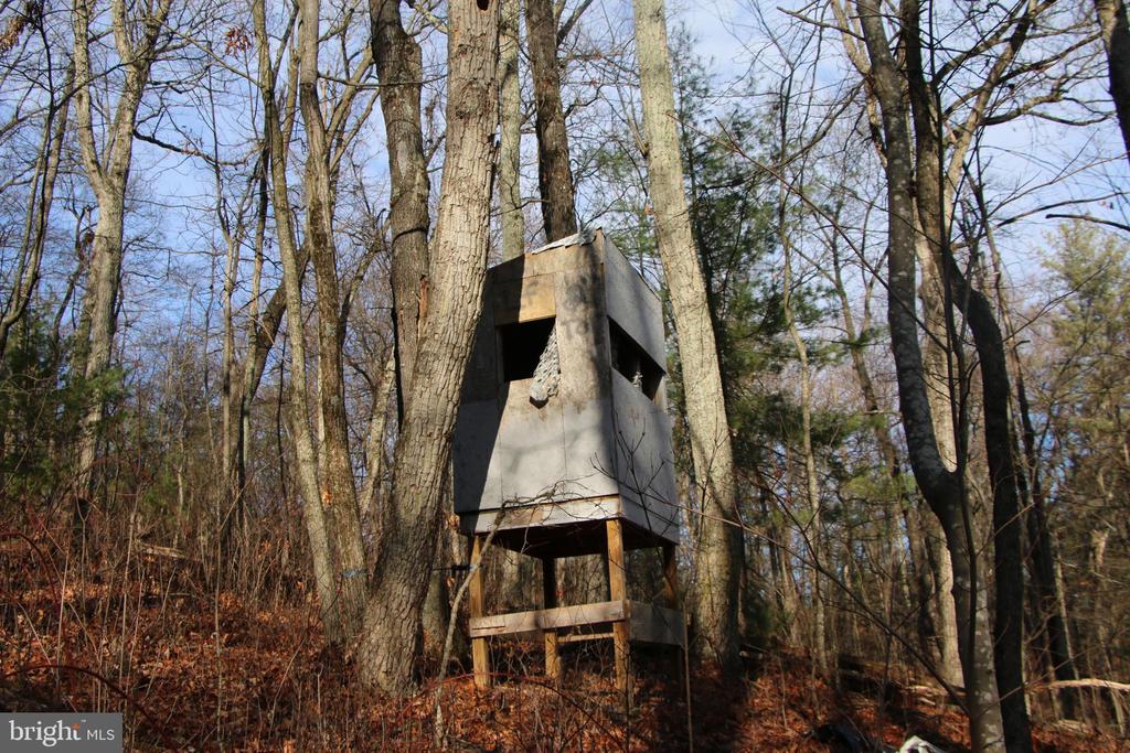 VALLEY BURG RD, LURAY, Virginia 22835, ,Farm,14,VALLEY BURG RD,VAPA2006260 MLS # VAPA2006260