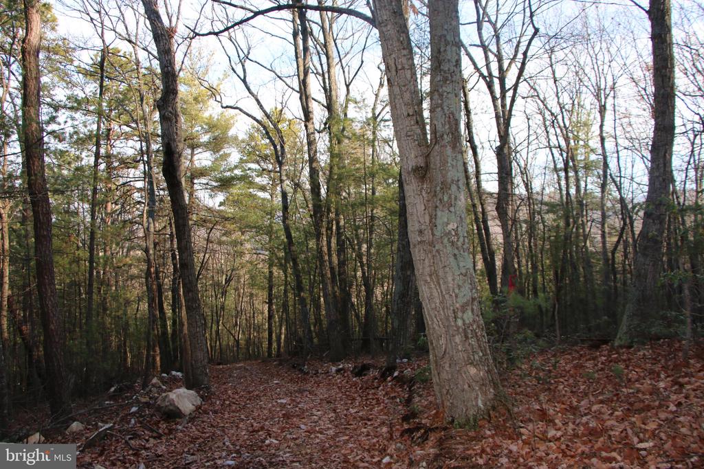 VALLEY BURG RD, LURAY, Virginia 22835, ,Farm,14,VALLEY BURG RD,VAPA2006260 MLS # VAPA2006260