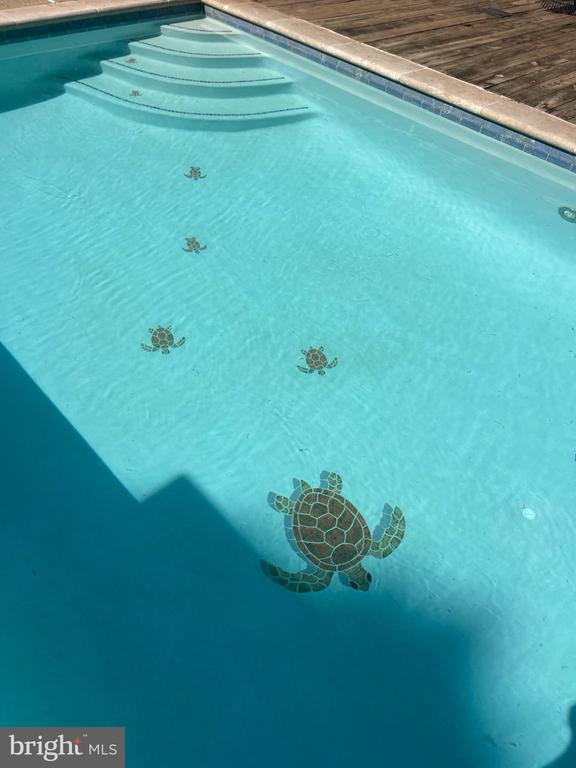 7747 RIVERSIDE FARM RD, MARSHALL, Virginia, 4 Bedrooms Bedrooms, ,3 BathroomsBathrooms,Residential,14,7747 RIVERSIDE FARM RD,VAFQ2021308 MLS # VAFQ2021308 7747 RIVERSIDE FARM RD, MARSHALL, Virginia, 4 Bedrooms Bedrooms, ,3 BathroomsBathrooms,Residential,14,7747 RIVERSIDE FARM RD,VAFQ2021308 MLS # VAFQ2021308