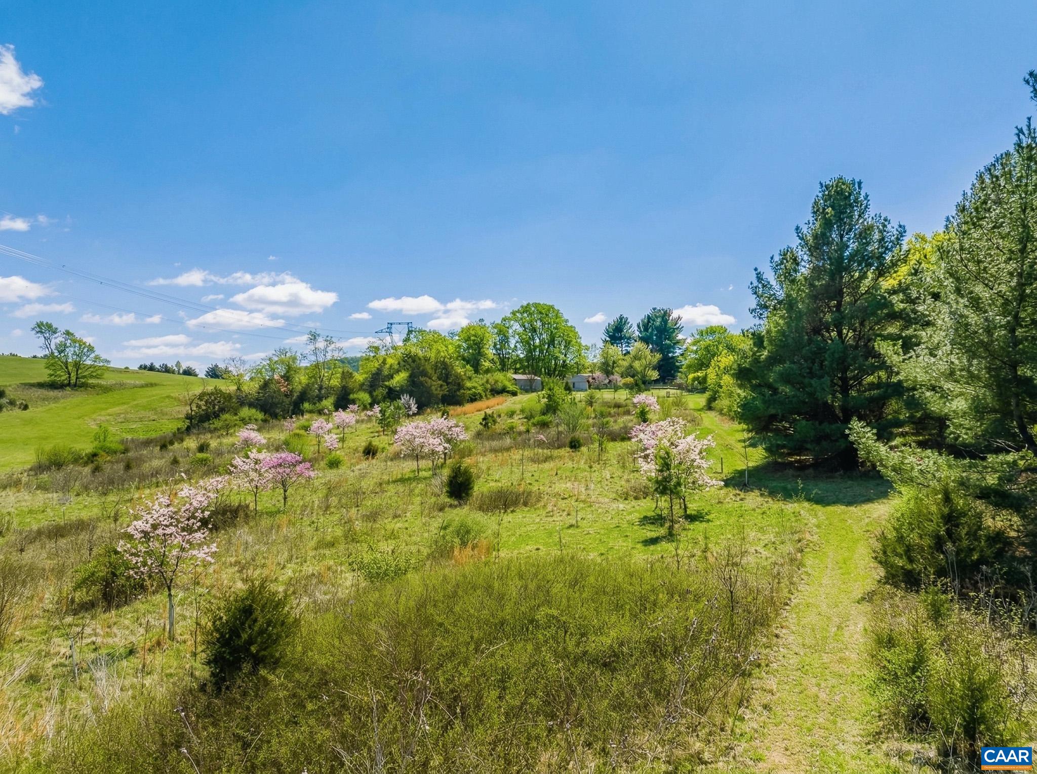 1732 HERMITAGE RD, WAYNESBORO, Virginia 22980, 4 Bedrooms Bedrooms, ,3 BathroomsBathrooms,Residential,14,1732 HERMITAGE RD,675316 MLS # 675316 1732 HERMITAGE RD, WAYNESBORO, Virginia 22980, 4 Bedrooms Bedrooms, ,3 BathroomsBathrooms,Residential,14,1732 HERMITAGE RD,675316 MLS # 675316