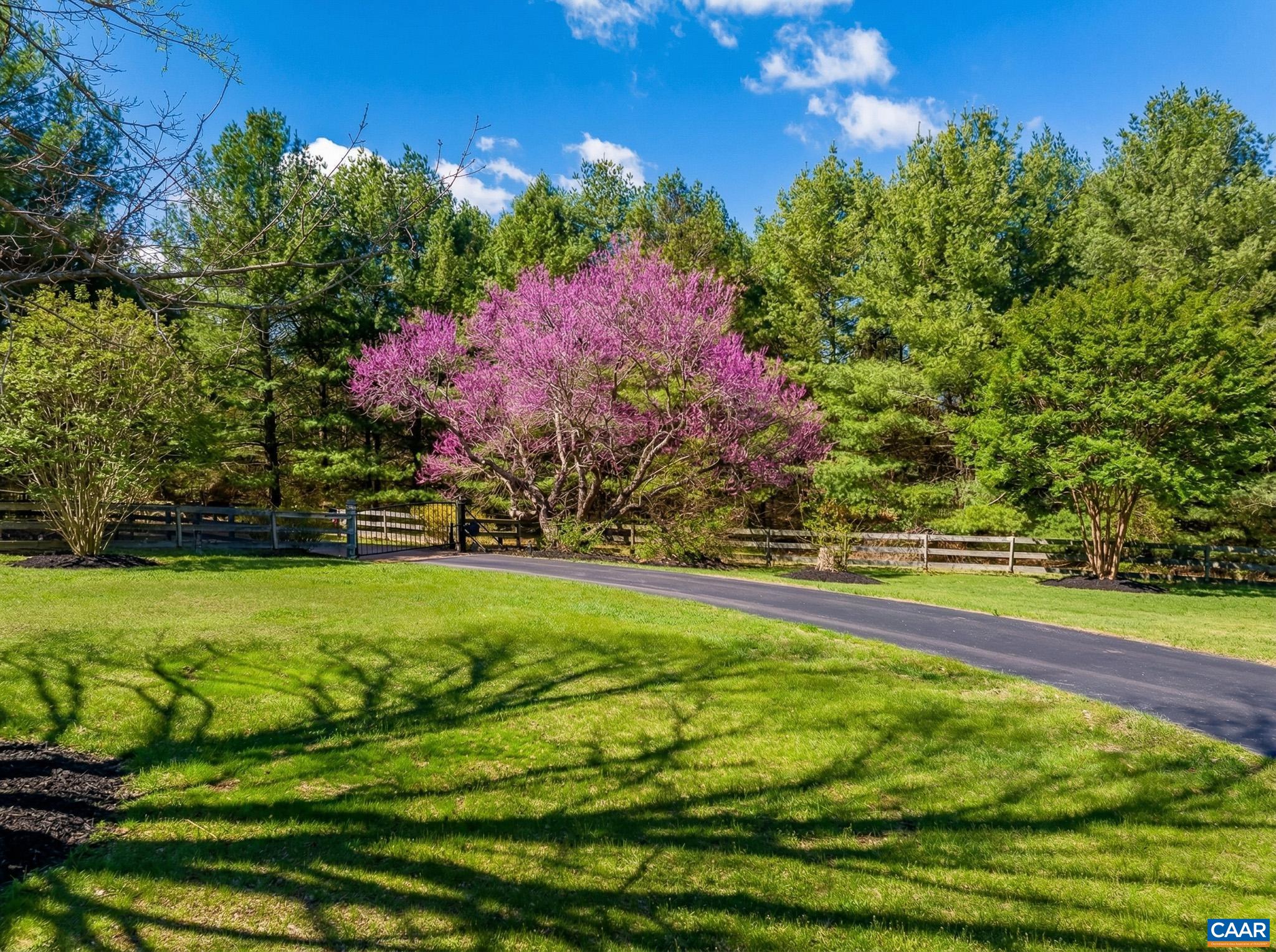 1732 HERMITAGE RD, WAYNESBORO, Virginia 22980, 4 Bedrooms Bedrooms, ,3 BathroomsBathrooms,Residential,14,1732 HERMITAGE RD,675316 MLS # 675316 1732 HERMITAGE RD, WAYNESBORO, Virginia 22980, 4 Bedrooms Bedrooms, ,3 BathroomsBathrooms,Residential,14,1732 HERMITAGE RD,675316 MLS # 675316