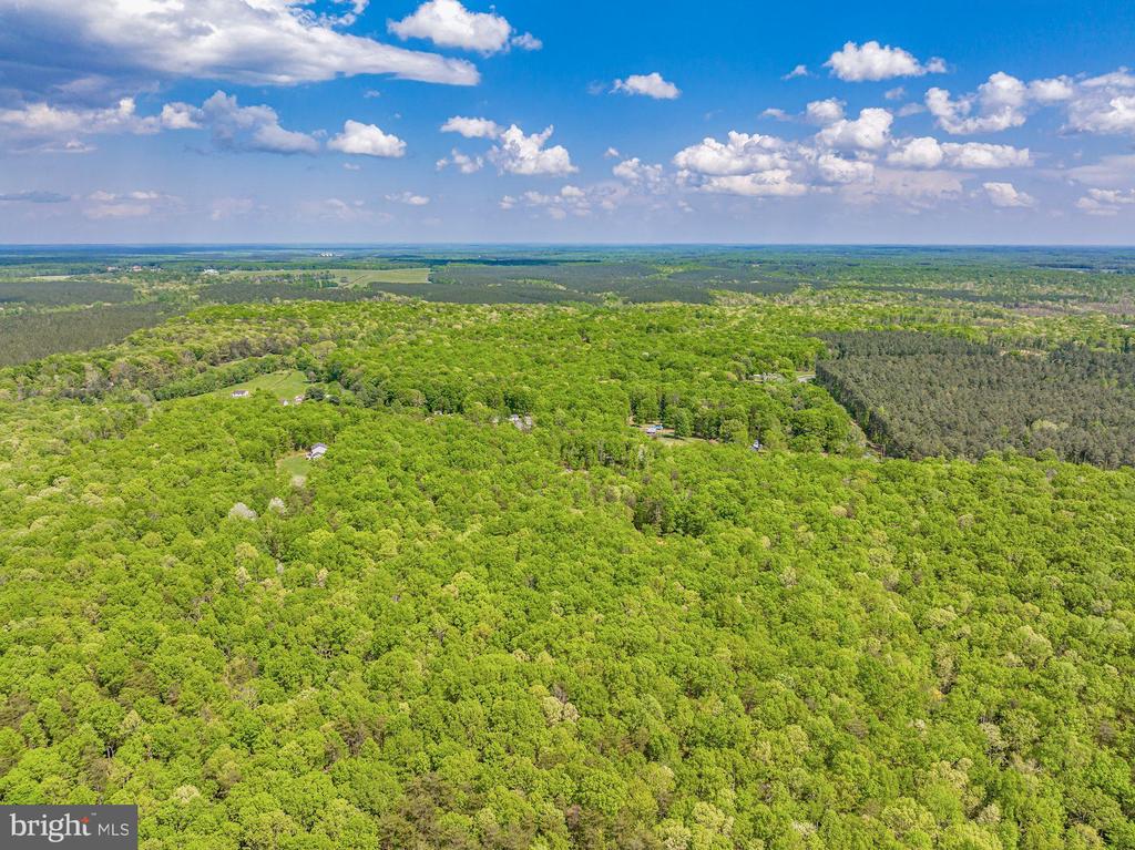 845 RACCOON RIDGE RD, SCOTTSVILLE, Virginia 24590, ,Farm,14,845 RACCOON RIDGE RD,VAAB2001202 MLS # VAAB2001202 845 RACCOON RIDGE RD, SCOTTSVILLE, Virginia 24590, ,Farm,14,845 RACCOON RIDGE RD,VAAB2001202 MLS # VAAB2001202