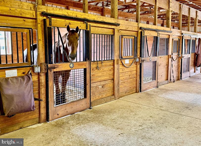 6277 GRIFFINSBURG RD, BOSTON, Virginia 22713, 4 Bedrooms Bedrooms, ,4 BathroomsBathrooms,Residential,14,6277 GRIFFINSBURG RD,VACU2013224 MLS # VACU2013224