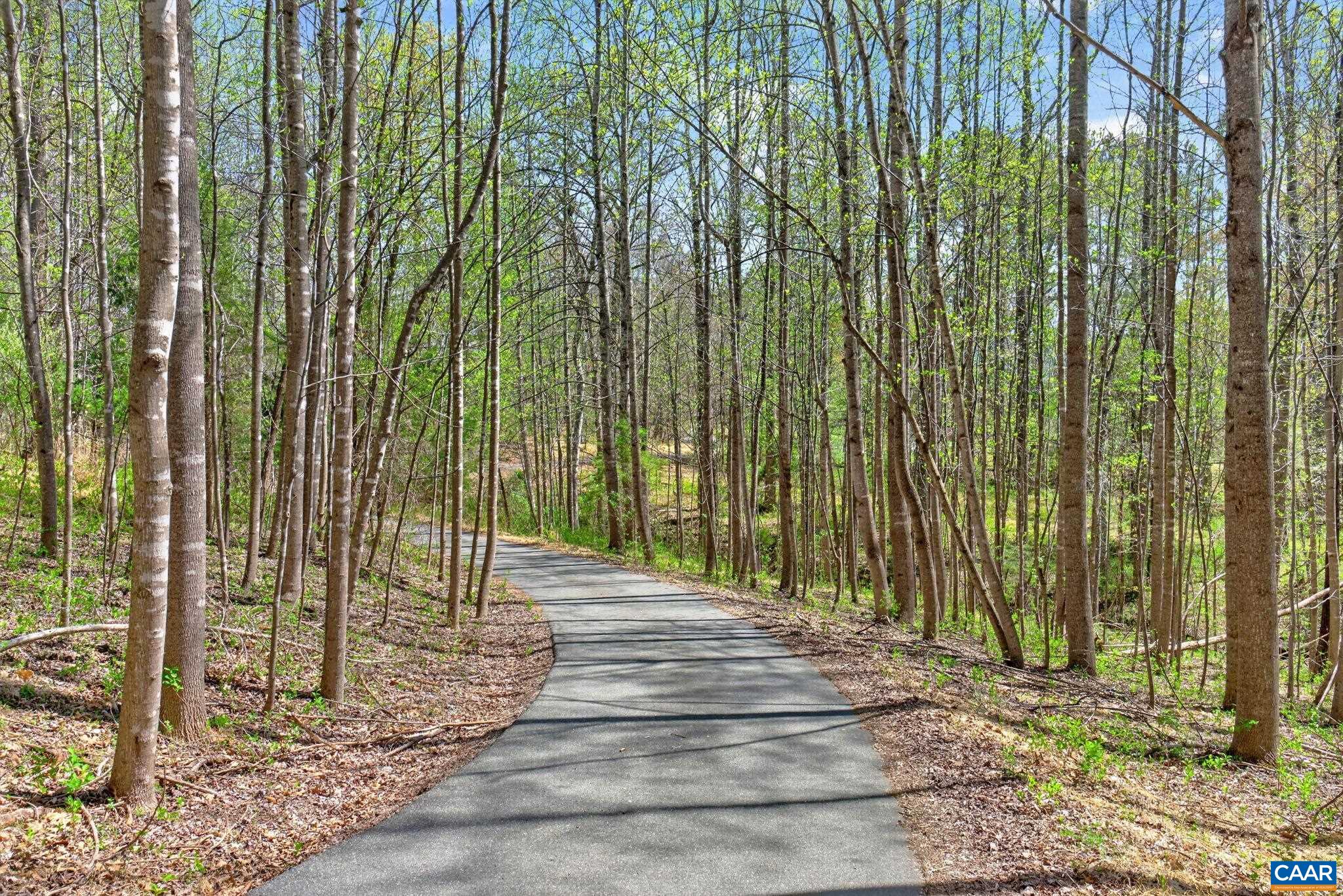 7087 DICK WOODS RD, AFTON, Virginia 22920, 5 Bedrooms Bedrooms, ,4 BathroomsBathrooms,Residential,14,7087 DICK WOODS RD,675673 MLS # 675673