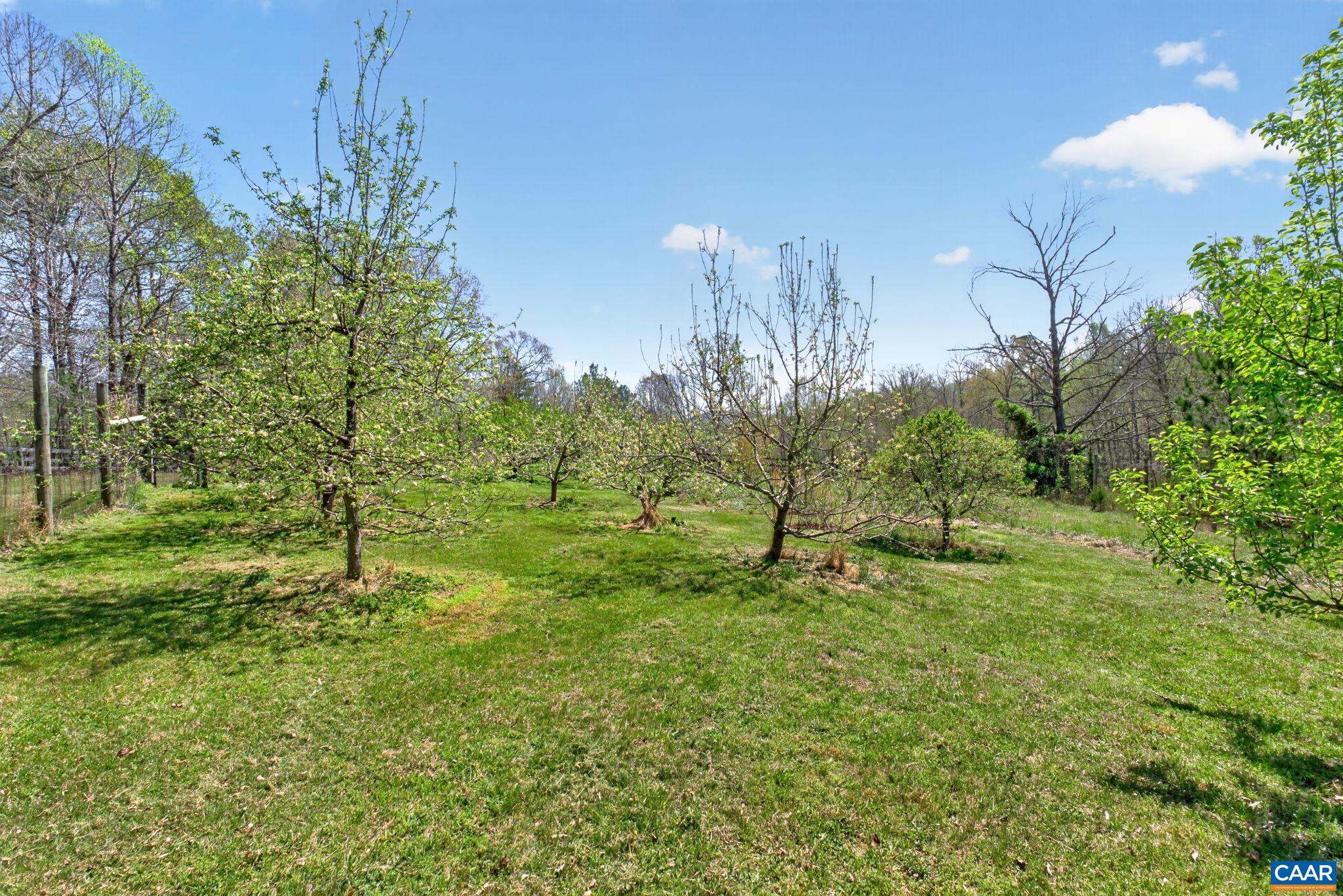 7087 DICK WOODS RD, AFTON, Virginia 22920, 5 Bedrooms Bedrooms, ,4 BathroomsBathrooms,Residential,14,7087 DICK WOODS RD,675673 MLS # 675673