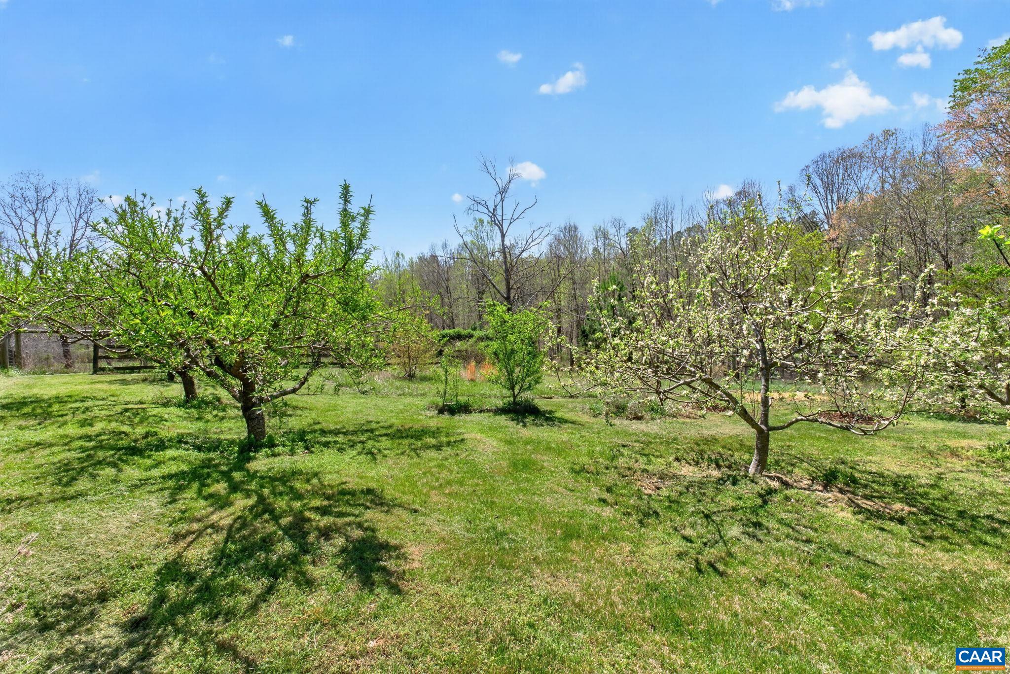 7087 DICK WOODS RD, AFTON, Virginia 22920, 5 Bedrooms Bedrooms, ,4 BathroomsBathrooms,Residential,14,7087 DICK WOODS RD,675673 MLS # 675673