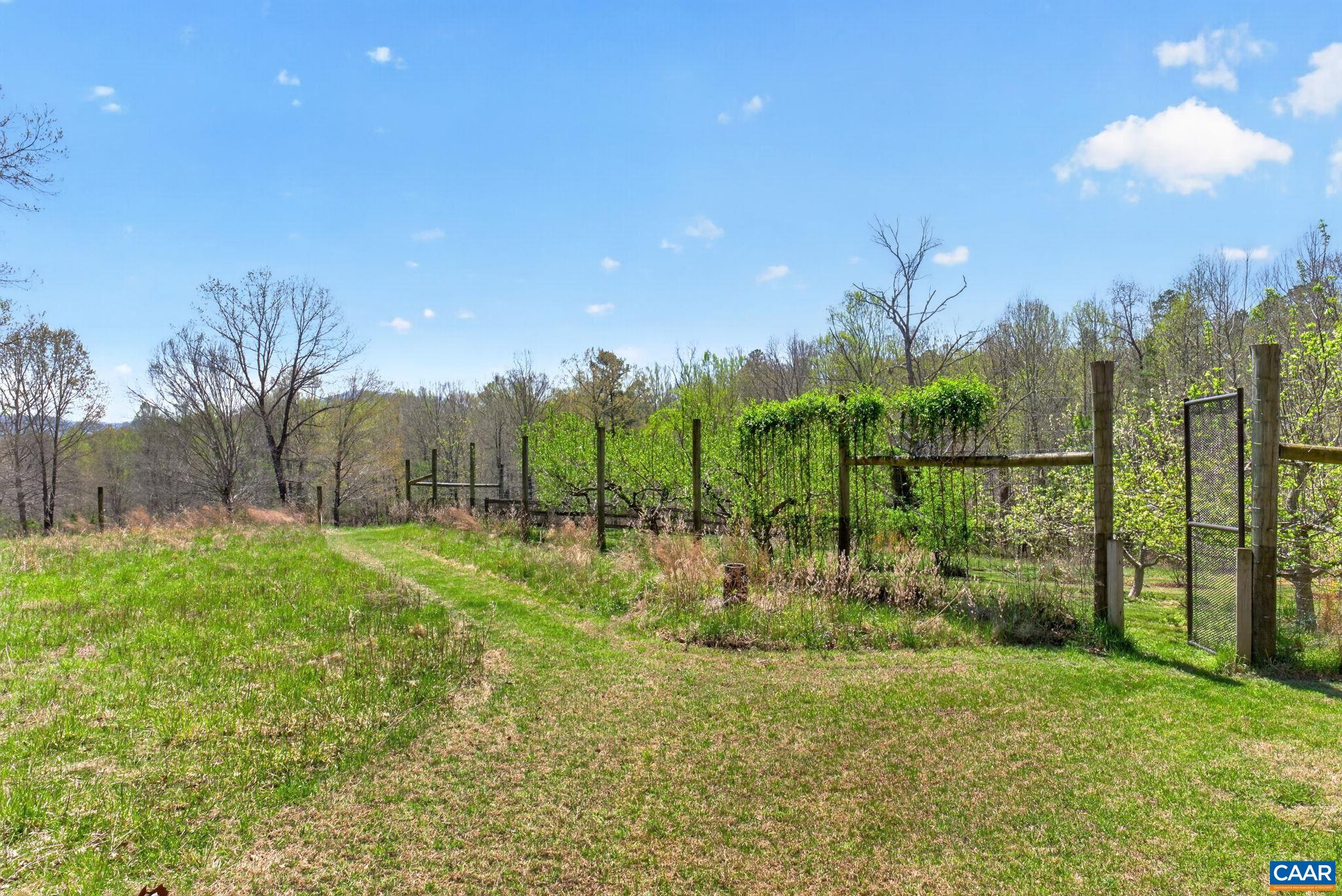 7087 DICK WOODS RD, AFTON, Virginia 22920, 5 Bedrooms Bedrooms, ,4 BathroomsBathrooms,Residential,14,7087 DICK WOODS RD,675673 MLS # 675673