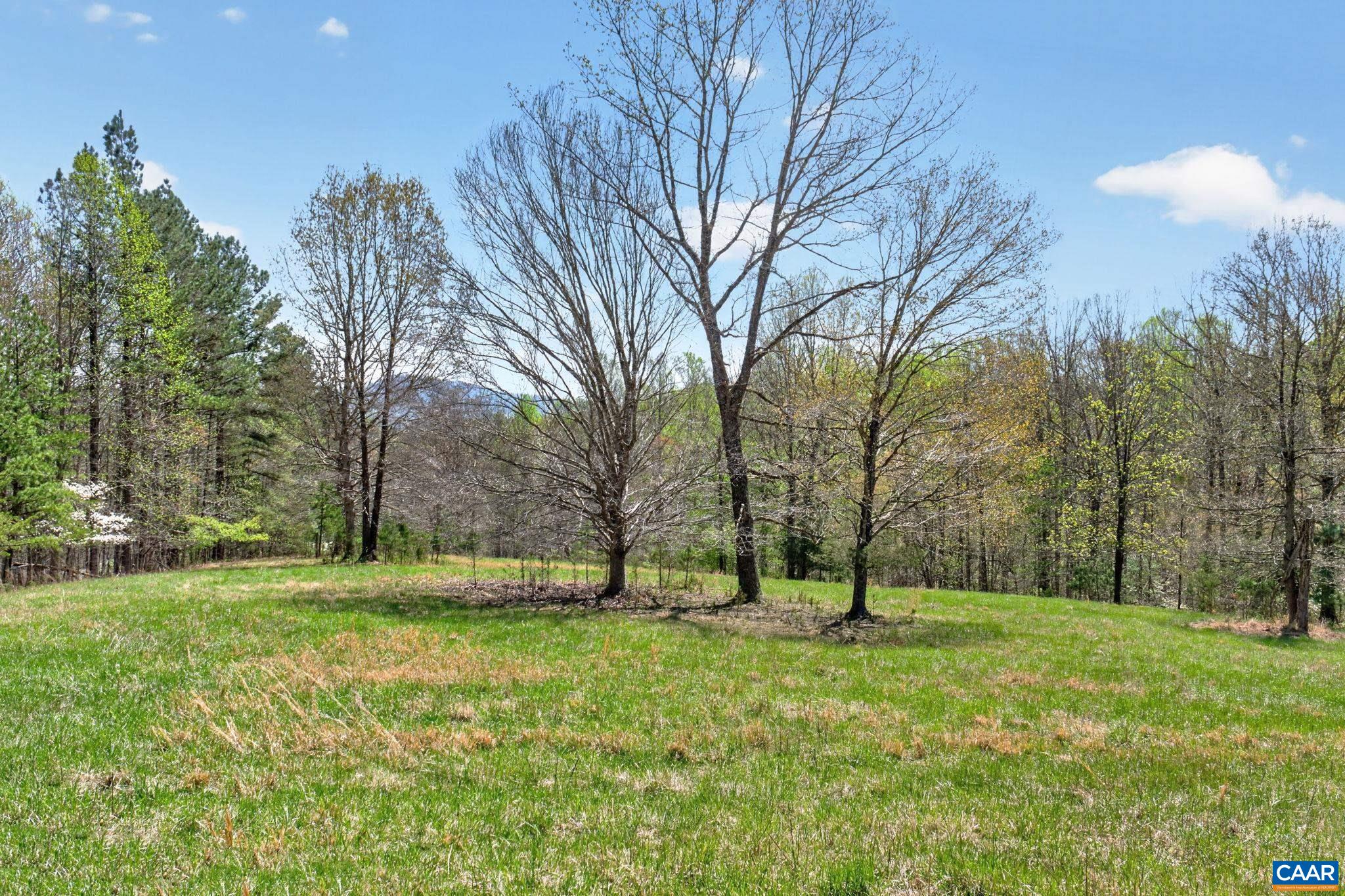 7087 DICK WOODS RD, AFTON, Virginia 22920, 5 Bedrooms Bedrooms, ,4 BathroomsBathrooms,Residential,14,7087 DICK WOODS RD,675673 MLS # 675673