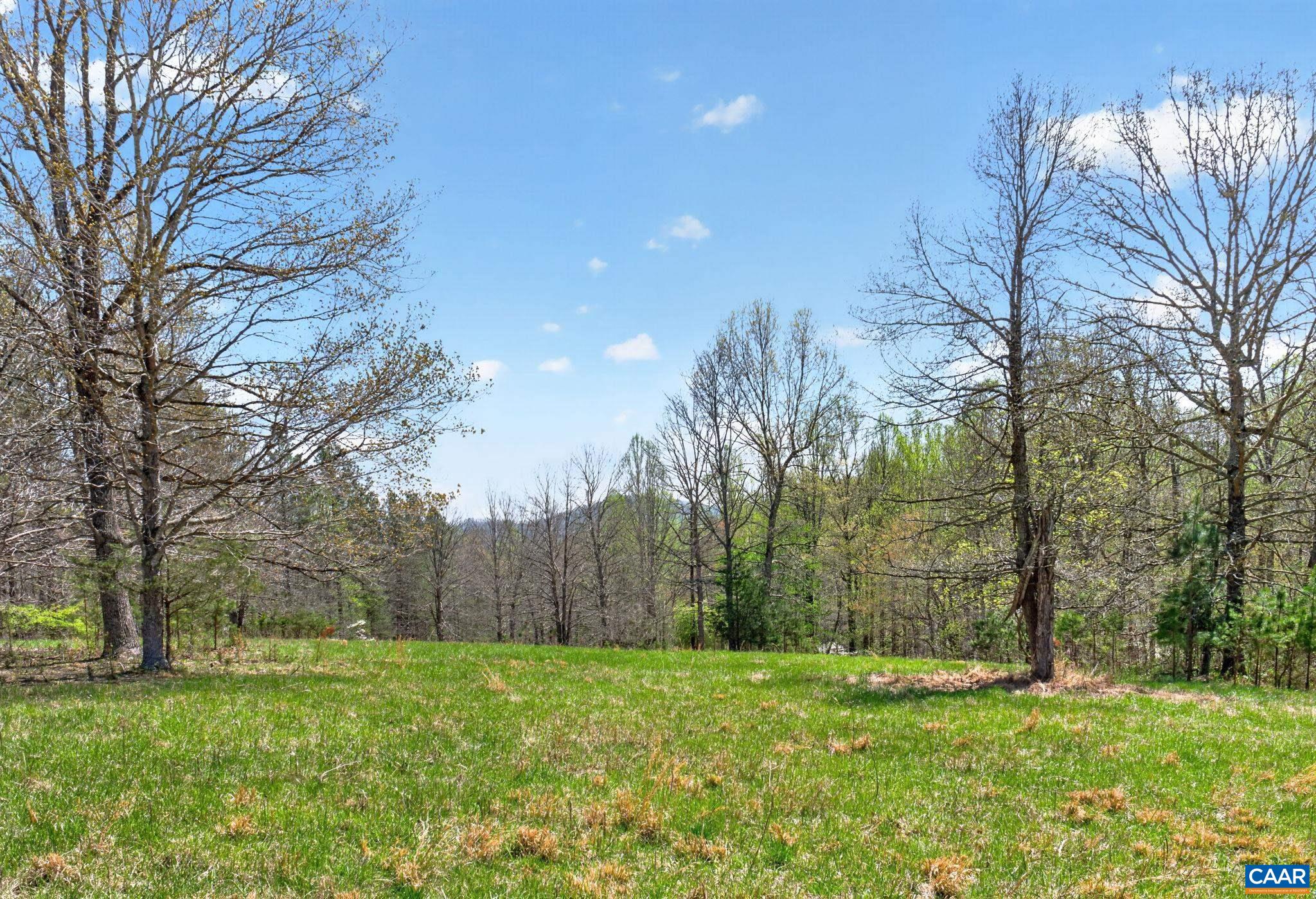 7087 DICK WOODS RD, AFTON, Virginia 22920, 5 Bedrooms Bedrooms, ,4 BathroomsBathrooms,Residential,14,7087 DICK WOODS RD,675673 MLS # 675673