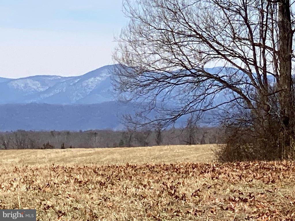 KIRTLEY RESIDUE LOT, CULPEPER, Virginia 22701, ,Land,14,KIRTLEY RESIDUE LOT,VACU2013282 MLS # VACU2013282