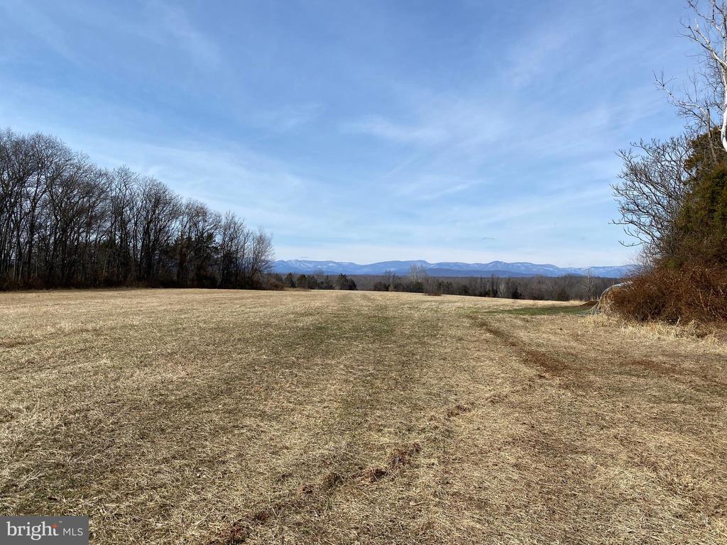 KIRTLEY TRAIL- LOT 1, CULPEPER, Virginia 22701, ,Land,14,KIRTLEY TRAIL- LOT 1,VACU2013292 MLS # VACU2013292