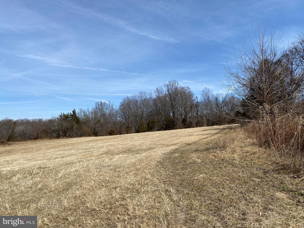 KIRTLEY TRAIL- LOT 1, CULPEPER, Virginia 22701, ,Land,14,KIRTLEY TRAIL- LOT 1,VACU2013292 MLS # VACU2013292